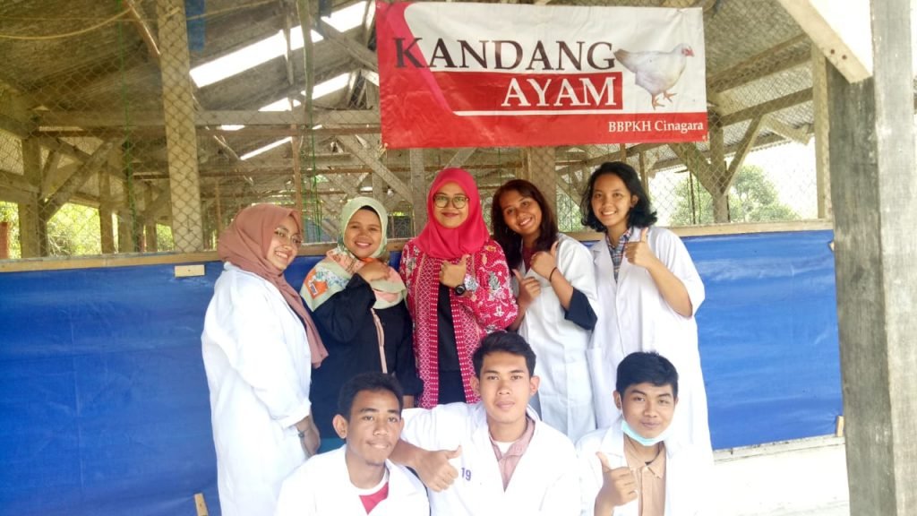 76a6c047-5384-4e0c-a6c5-36d35c29f409