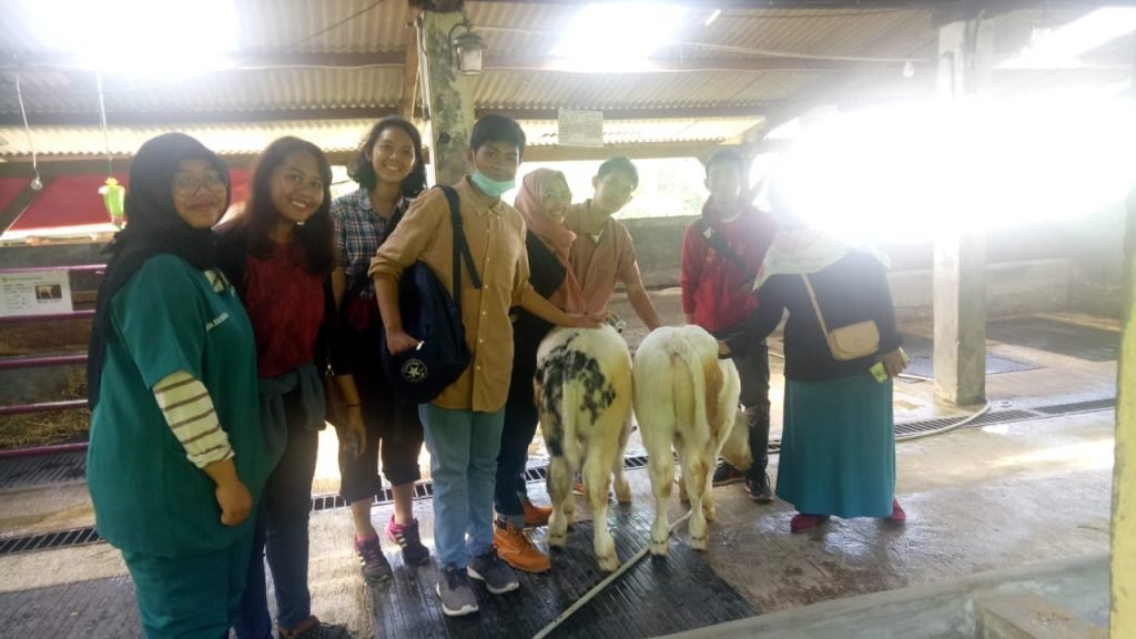 9336a770-af9a-4bc0-ade5-744417c8bf37