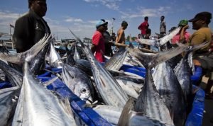 1557287377_Produk_Laut_Kita_Tetap_Nomor_Satu_di_Dunia