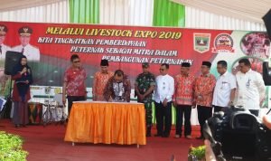 cb31ef49-0d31-43d6-81ff-7b5ec93d7fc4