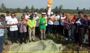 a195e24a-3770-4dbe-b85c-f75919819b4e