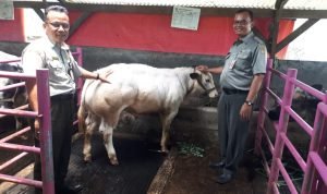 5798ceed-5532-42d3-9390-9756cd9adf12