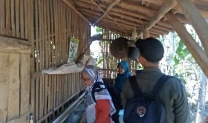 ed0a42d8-e0ae-4874-97b7-acfb59d07936