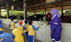 31c4cf56-63a5-4eab-bfe9-9a55fc9cd023