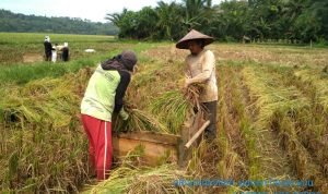 dd9fd4eb-e770-438b-843e-63ebaf9cf4dd