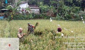 3a191f20-1026-4a14-b1ee-4a35f1343148