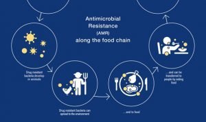 baf706d9-f028-49ea-8798-733ac885a1aa