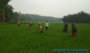 ddc0b881-c50d-4dd8-8682-6ec1393eba58