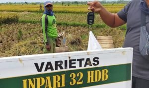 6f9085d3-a8a6-4ec3-93ec-1ee6f21fa2ef