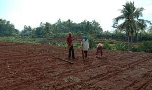 a3a05cd6-af6e-46a2-a456-a0899a4527af