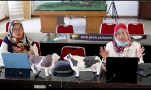 8f54ce2b-3d08-44f7-97f6-53d2b0a134cd