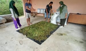 EEA606D5-F58A-464D-BFCA-9A27E4064304