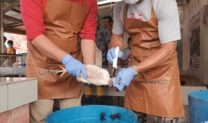 C56D67EF-FDA3-43C0-A6D2-81DA411FE35E