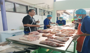 A914B916-A330-45FF-8986-7F9F7A7B77C4