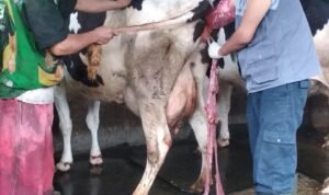 9117969C-42E6-49EF-B9A3-E08665E13328