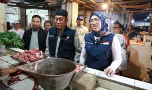 D2E85D8D-2C62-4E87-8118-C7808B788A8B