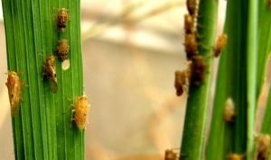 52E87648-B167-40F9-AD8D-5C99FA5114A4