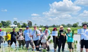 810E641E-0FD3-4FEB-A481-07D27412B26A